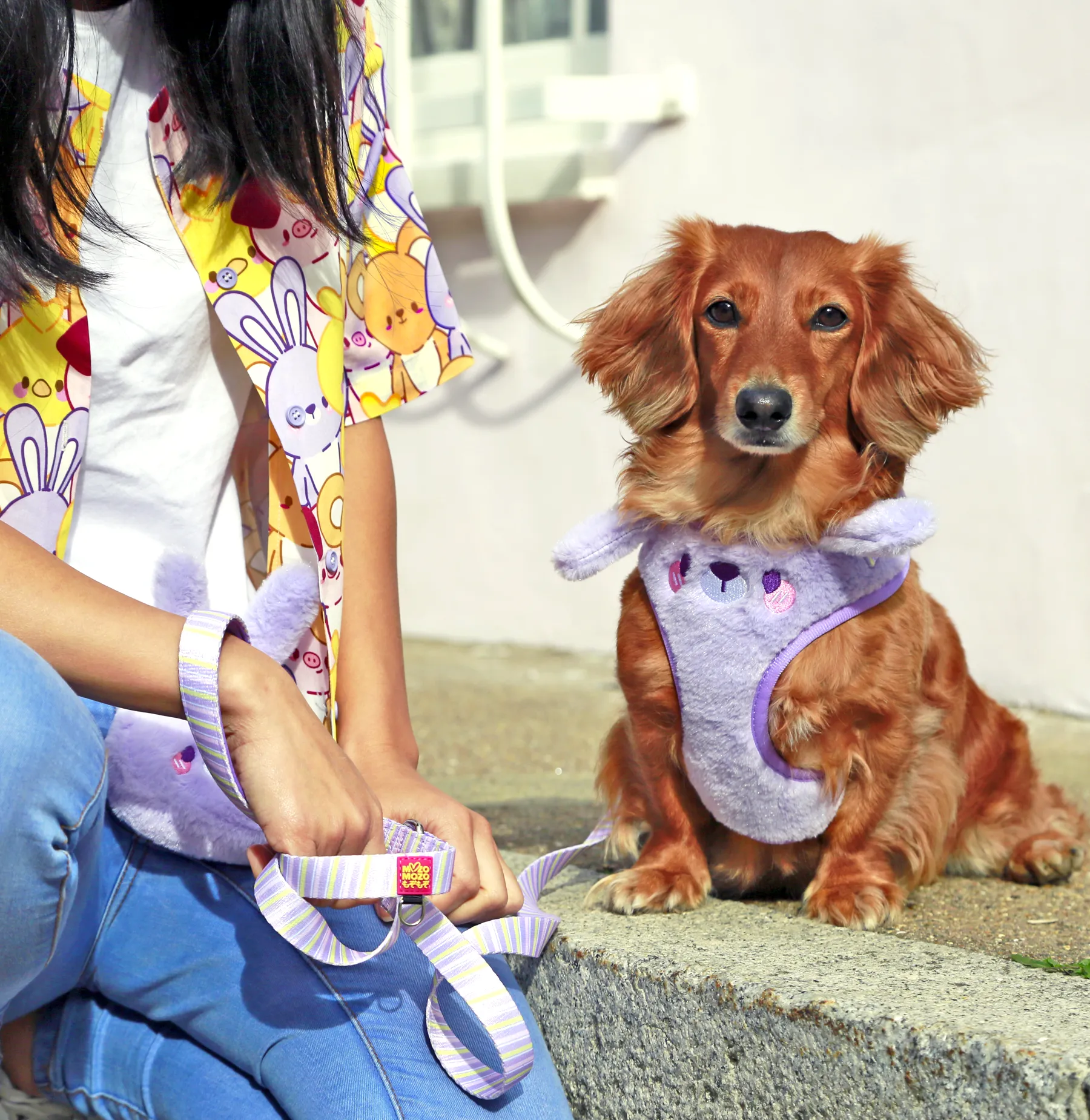 Button up shirt - Tomo ✦RARE✦