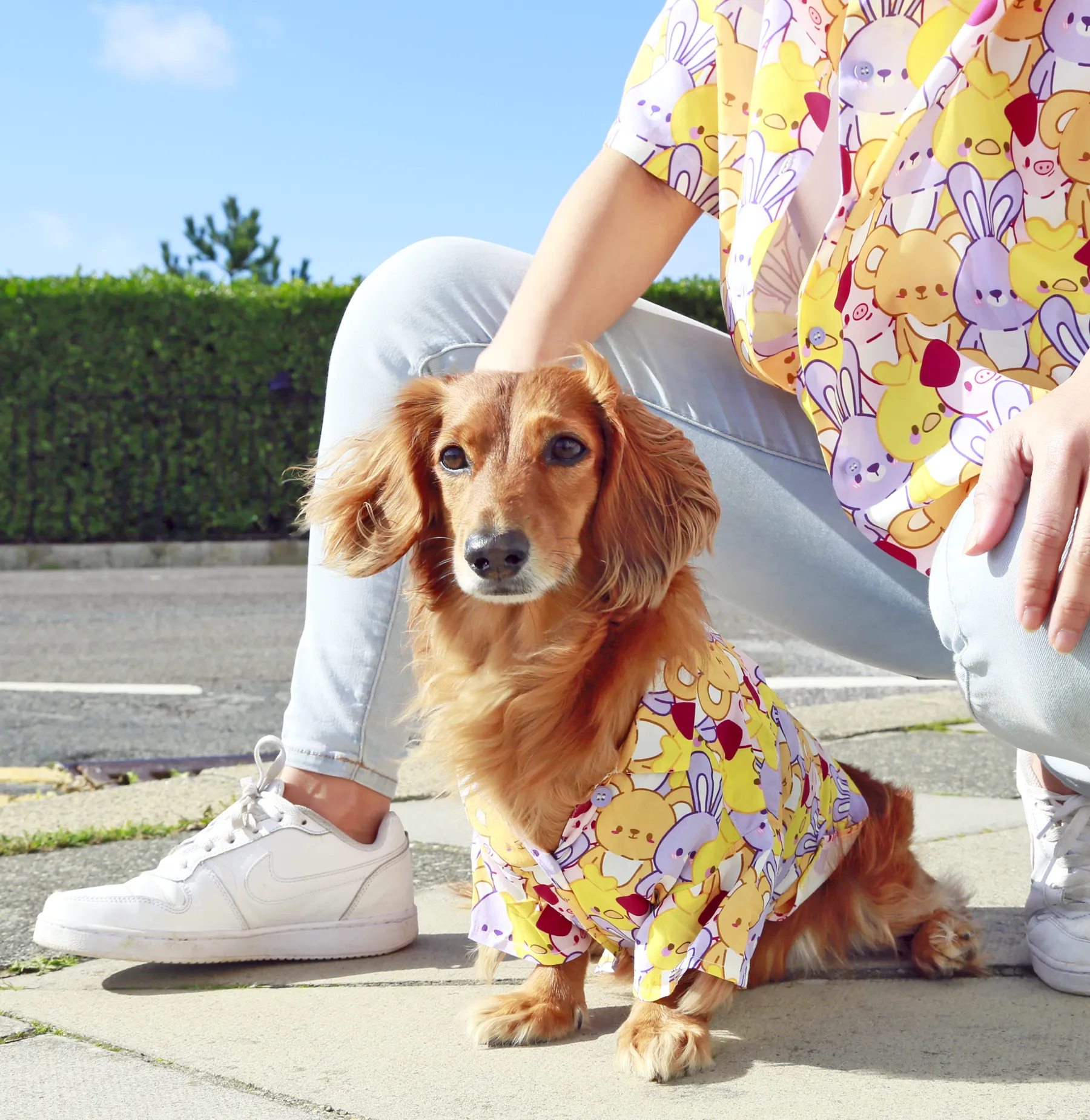 Button up shirt - Tomo ✦RARE✦
