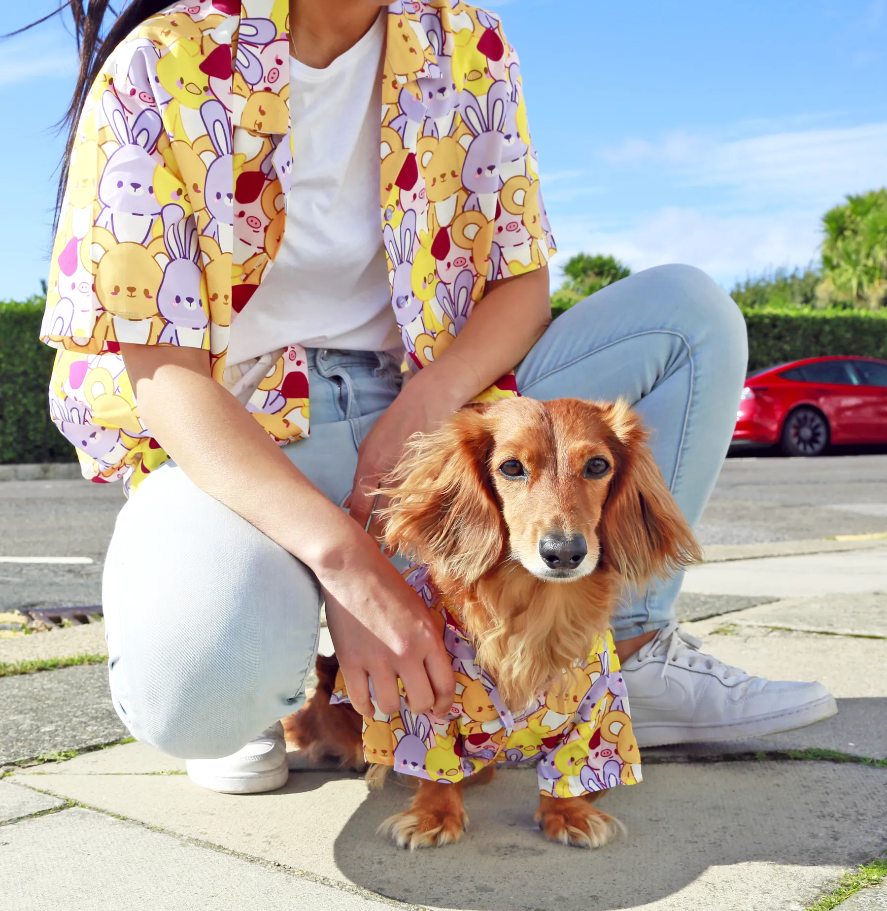 Button up shirt - Tomo ✦RARE✦