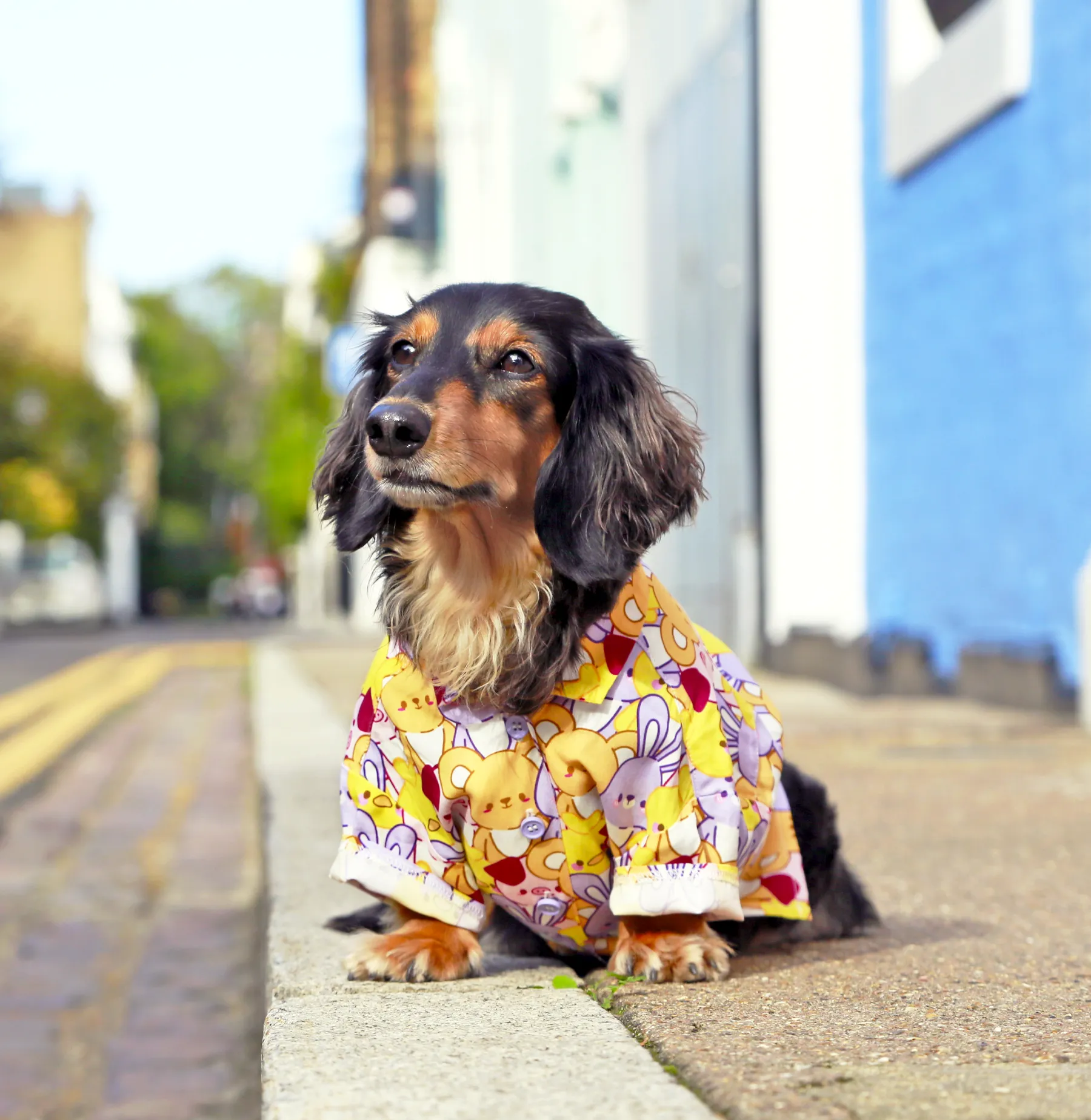 Button up shirt - Tomo ✦RARE✦